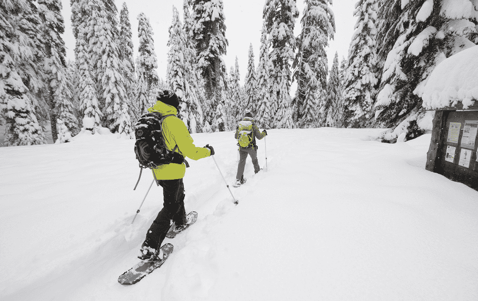 winter activities in Ontario