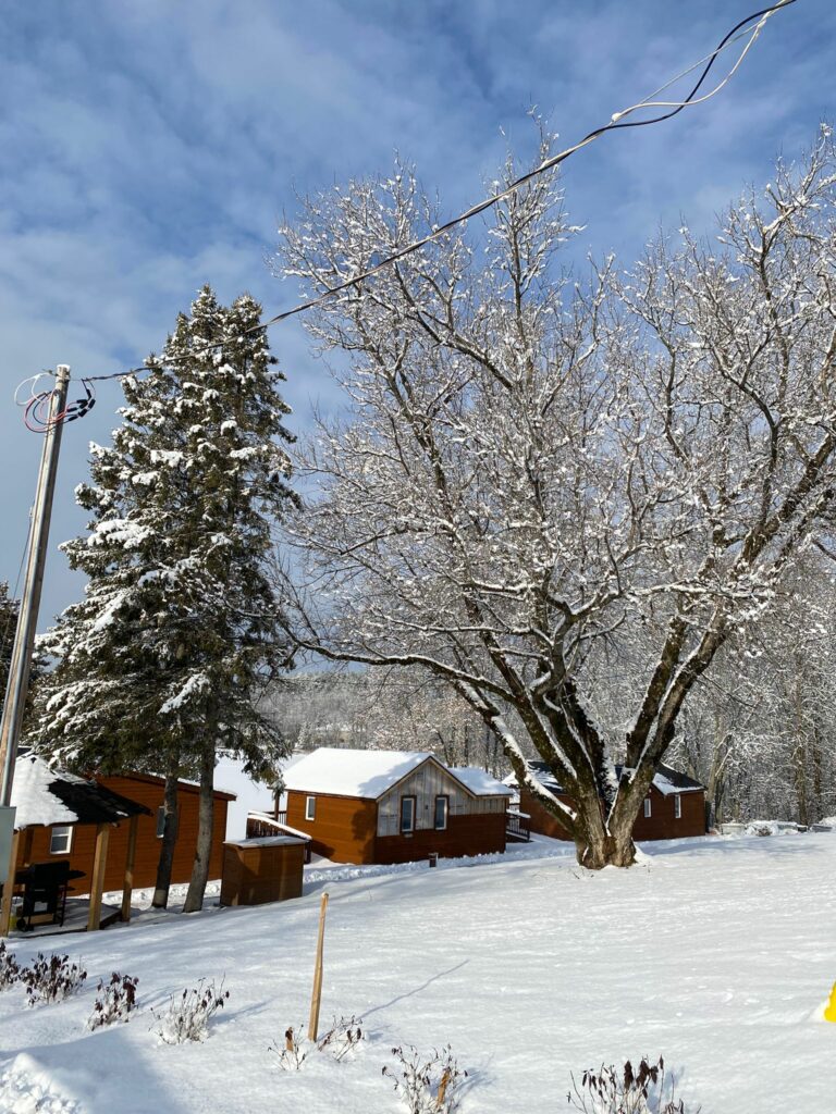 resorts in the French river